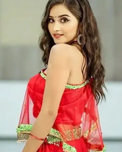 Escort In Thirunallar